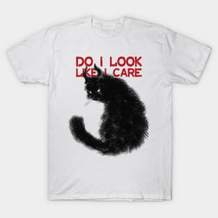 Evil cat, I don't care T-Shirt